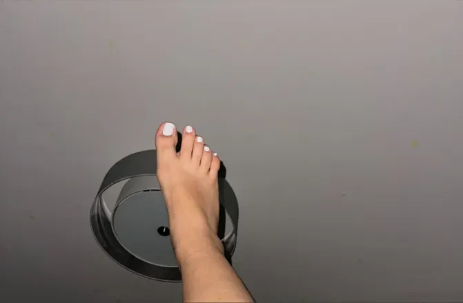 OnlyFans cuenta priscillas.toes previous_avatars_1 3