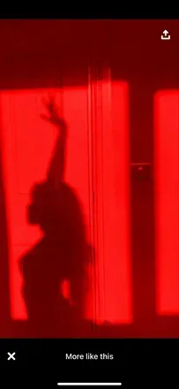 OnlyFans account  shygirld header 2
