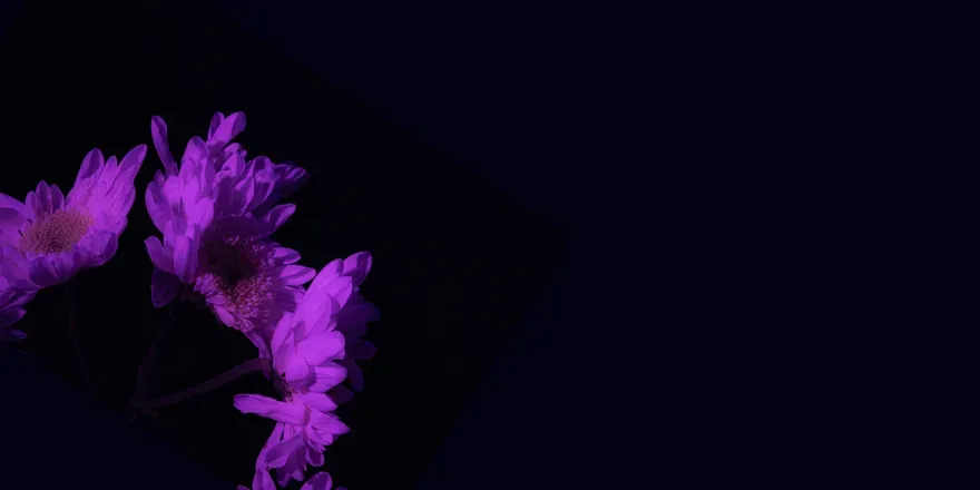 OnlyFans cuenta vore_vixen header 2
