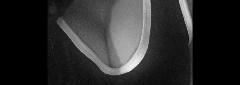 OnlyFans cuenta highwjazzy header 2