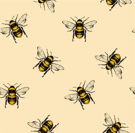 OnlyFans cuenta honeybeehey header 2