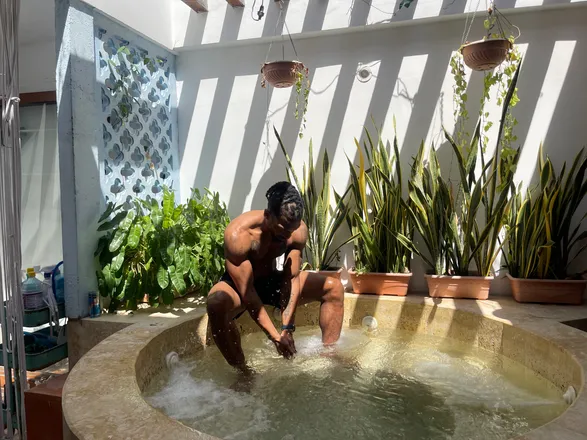 OnlyFans cuenta plantbasedandnaked header 2