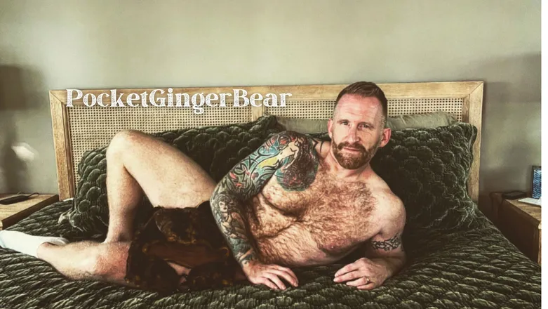 OnlyFans cuenta pocketgingerbear header 2
