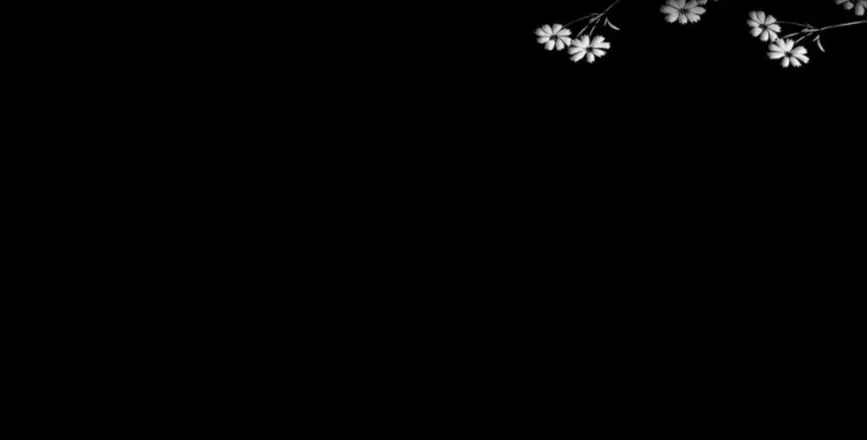 OnlyFans cuenta a.eden header 1