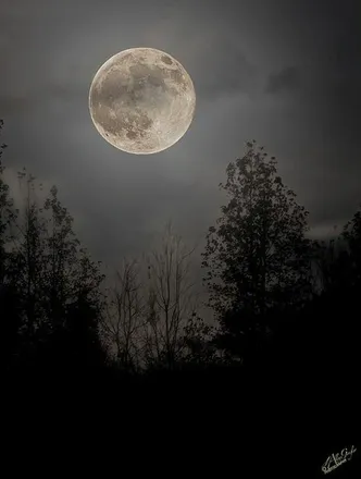 OnlyFans account  moonlightshadow1 header 2
