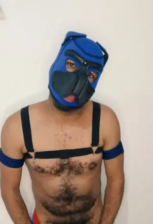 OnlyFans cuenta pheventurelli avatar 1