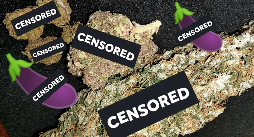 OnlyFans cuenta mydickandsomeweed header 2