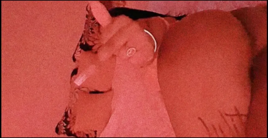 OnlyFans cuenta srirachababy1 header 2