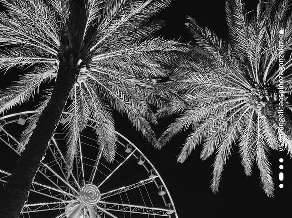 OnlyFans cuenta d1ninnna header 2
