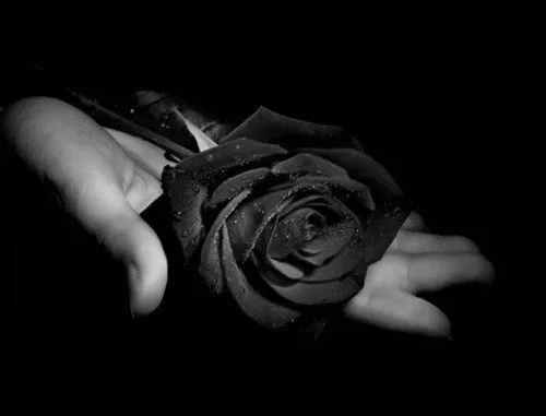 OnlyFans cuenta khaoticangel-nz header 2