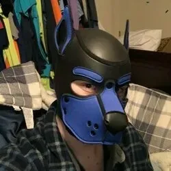 OnlyFans cuenta safari_kyle avatar 1