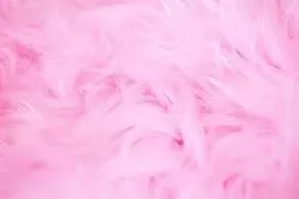 OnlyFans cuenta canadiangoddess423 header 2