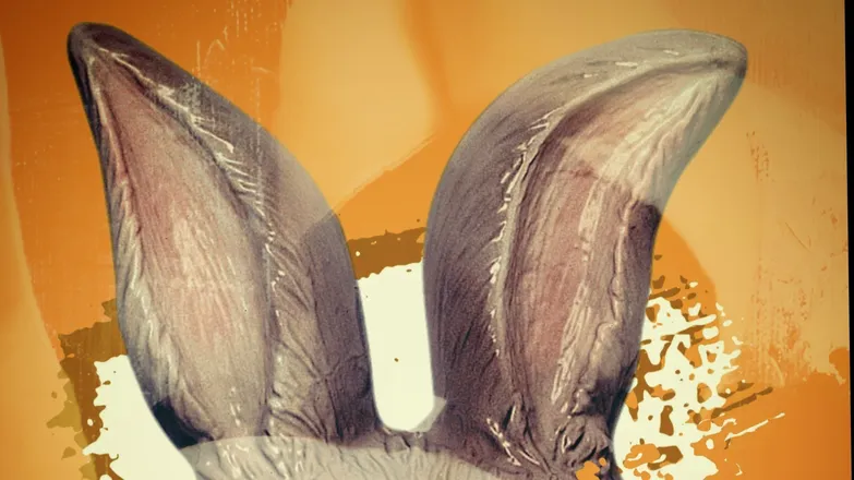 OnlyFans cuenta chubby.g header 2