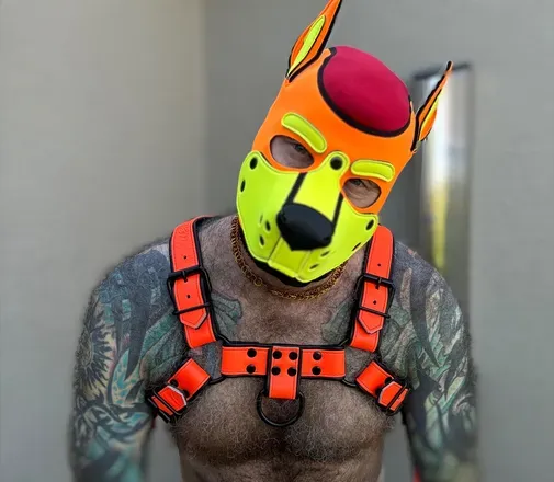 OnlyFans cuenta powerpup69 avatar 1