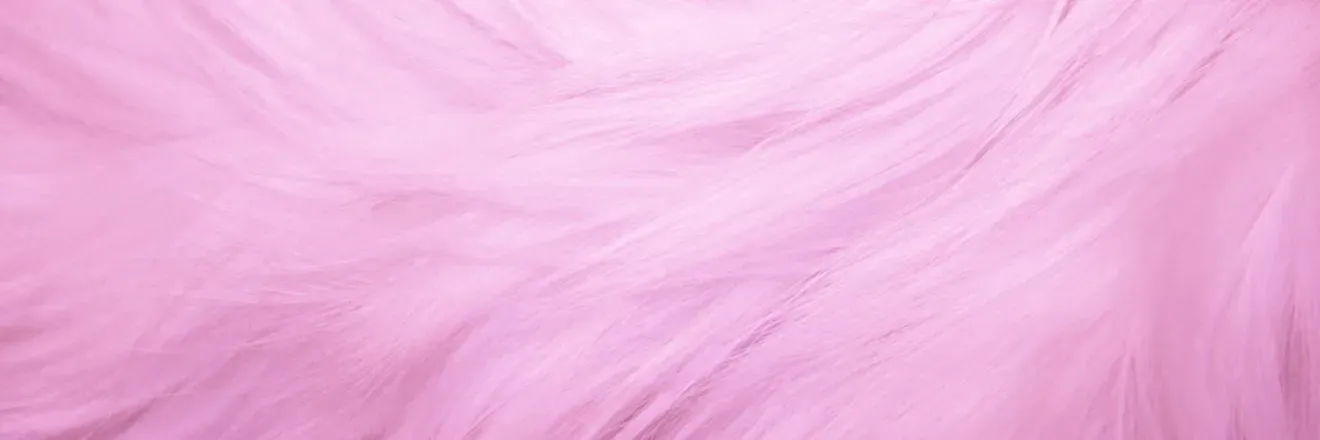 OnlyFans cuenta fluffykashi header 2