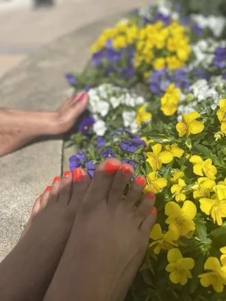 OnlyFans cuenta theonlybrownskintoes header 2