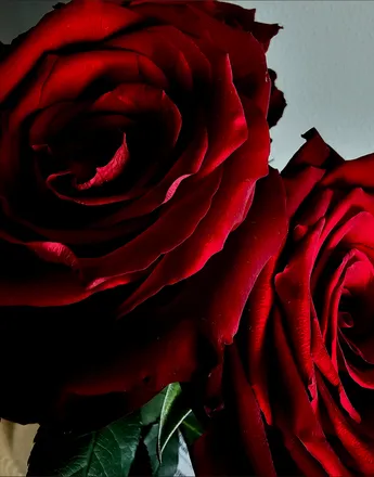 OnlyFans cuenta thatoakleystwunk header 2