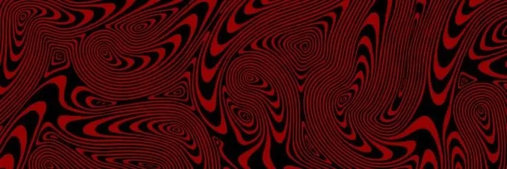 OnlyFans cuenta gynandromorphe header 2