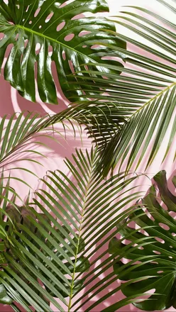 OnlyFans cuenta clolovesit header 2