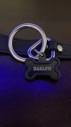 OnlyFans cuenta pup.harlow header 2