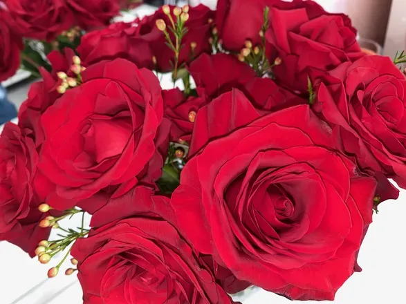OnlyFans cuenta lilithsjuicyyynectar header 2