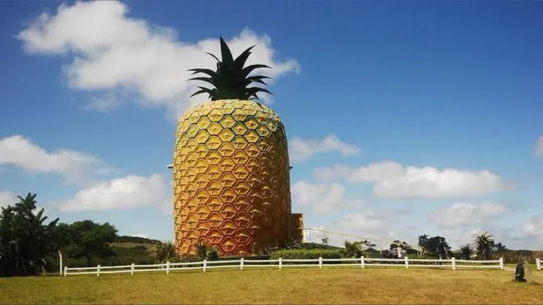 OnlyFans cuenta pineapple.boy69 header 2