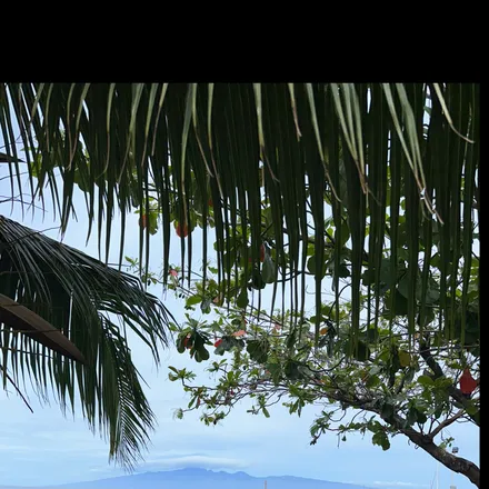 OnlyFans cuenta dr.wink header 2