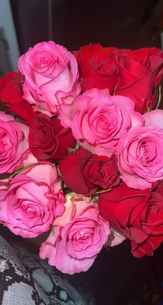 OnlyFans account  queenimp header 2