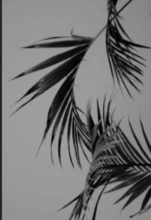 OnlyFans cuenta fayemayshh header 2