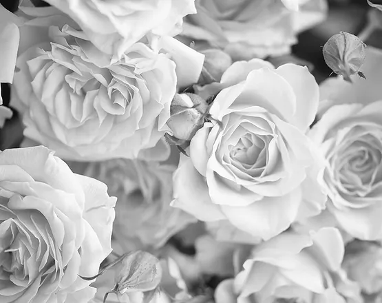 OnlyFans cuenta taylorkris header 2