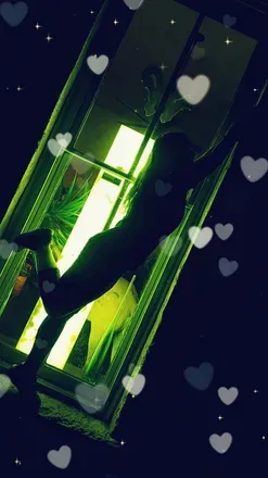 OnlyFans cuenta fairydustkink avatar 1