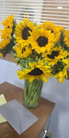 OnlyFans cuenta littlesunflower2244 header 2