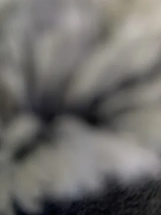 OnlyFans cuenta geoffbuengarmer header 2