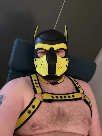 OnlyFans cuenta pupboltund avatar 1