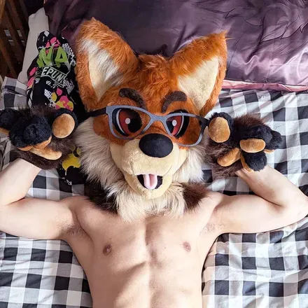 OnlyFans cuenta foxyshiroad avatar 1