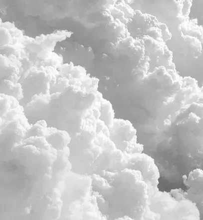 OnlyFans cuenta nessarosewood header 2