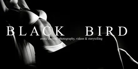 OnlyFans cuenta blackbirderotica header 2