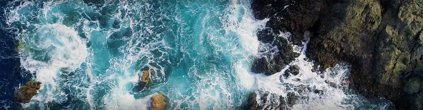 OnlyFans cuenta lily_rose029 header 2