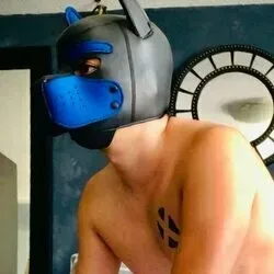 OnlyFans cuenta magnuspuppy avatar 1