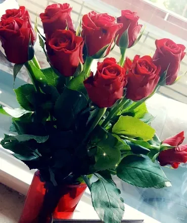 OnlyFans account  cheerchica header 2