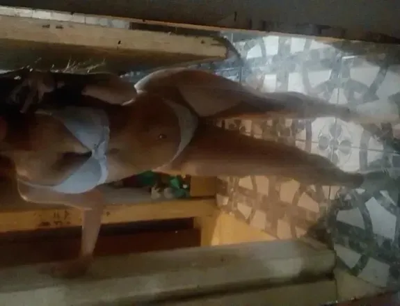 OnlyFans cuenta jennidiablita69 header 2