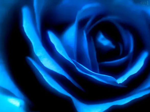 OnlyFans cuenta lisagray header 2