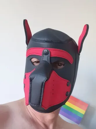 OnlyFans account  doggygayboys avatar 1