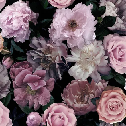 OnlyFans cuenta averierose5 header 2
