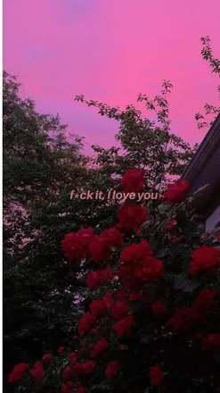 OnlyFans cuenta lem_212 header 2