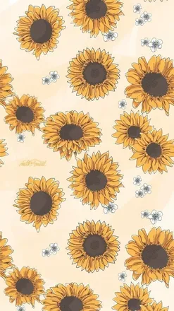OnlyFans cuenta stephie-chan header 2