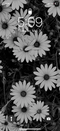 OnlyFans cuenta brookeheather header 2