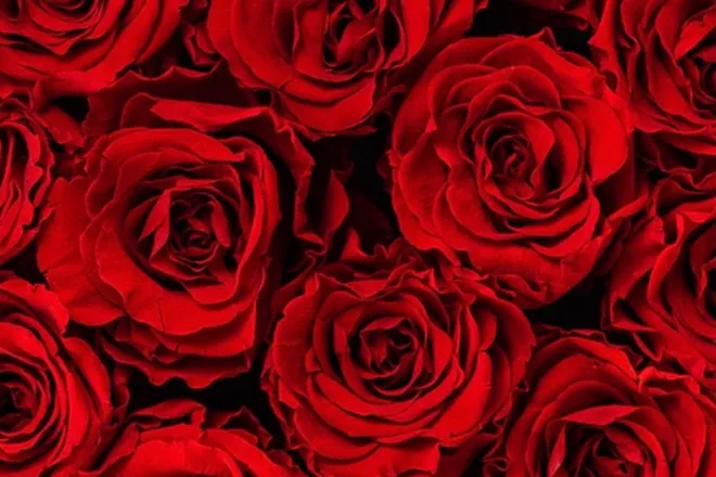 OnlyFans cuenta officialkvalentine header 2