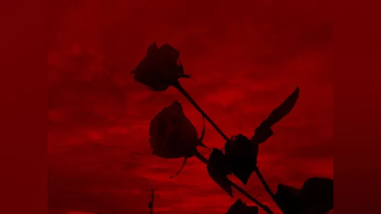 OnlyFans cuenta sabrinathedead header 2