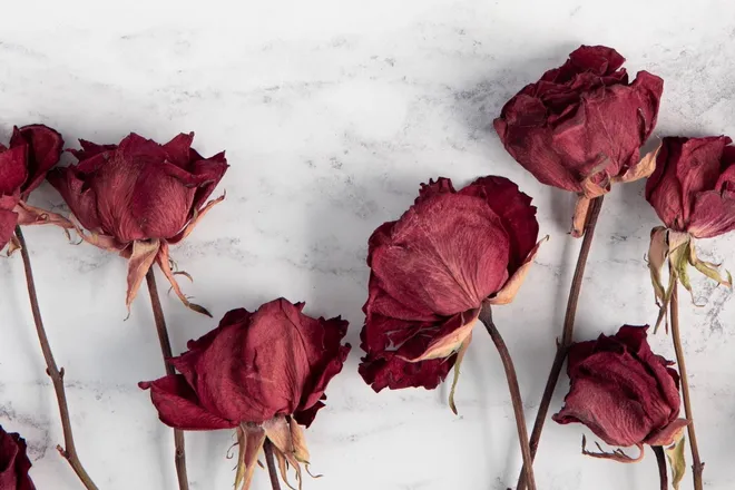 OnlyFans account  basic.dumpling header 2